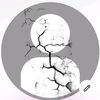natan_lid