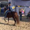 p_lopes2