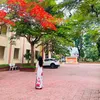 _thuylieu269