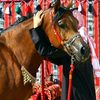 audah139