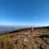 cocokl84