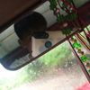 angelhern45
