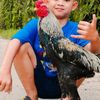 aji.saputra89
