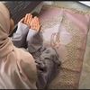 noormustafa061