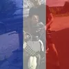 lestrimard