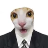 el_babidi_felino