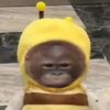 bonkeymonk