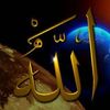 abdulrahmanshukr