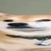 ohhahalol
