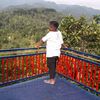 m.ajisaka_123