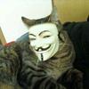 anonymous_cat2