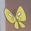 papillon.jaune.mort