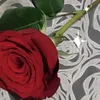n__3mw