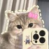 _chel118