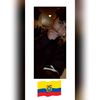 prins593j