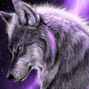 giancarlo.dipinto55gmail