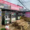 cty.tnhh.mtv.hoanggiaphu