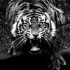 eadwan