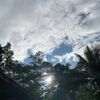 _pleace8