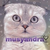 musyandra_