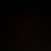 egor111207