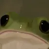lottikarottoi