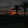 folll_