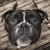 arnold_frauchen2017