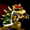 solonggaebowser