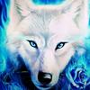 bluewolf62