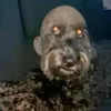 d3f4ult_77