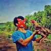 giant__00