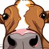 dairylea_official