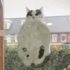 ooooo_pipito