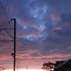 flo_px35