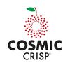 thecosmiccrisp