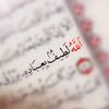 orlaloill5