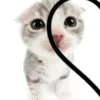 .........mmsmsmwmw
