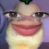 sootea7