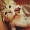 y_anna06
