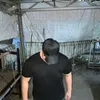 rehan_ammnesia
