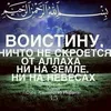 muslim__05_11