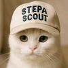 stepa.scout