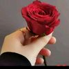 user393421087