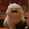 ziihxxa