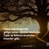 raul_6865