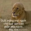 pan.99999
