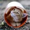 cat_in_a_pipe