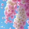 ilyn_07