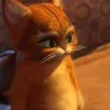 randommonkiesaccount